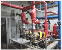  2025Ÿ��3894  �������