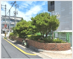  2025Ÿ��3894  �������