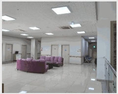  2025Ÿ��3894  �������