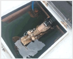  2025Ÿ3904 ׽          ڰ