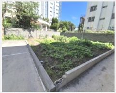  2025Ÿ��3914  �������