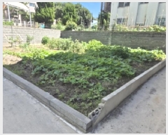  2025Ÿ��3914  �������