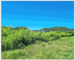  2025Ÿ��3960 ��� ���׽� ���� ȣ�̰��� �뺸�� 530     ����(��1)���