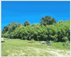  2025Ÿ��3960 ��� ���׽� ���� ȣ�̰��� �뺸�� 530     ����(��1)���