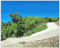  2025Ÿ��3960 ��� ���׽� ���� ȣ�̰��� �뺸�� 530     ����(��1)���