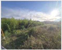  2025Ÿ��3960 ��� ���׽� ���� ȣ�̰��� �뺸�� 530     ����(��1)���