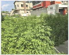  2025Ÿ��3965 ��� ���׽� ���� �۵��� 444-3      ����(����)���