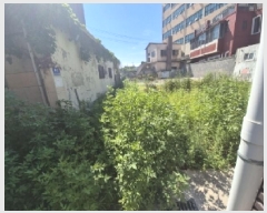  2025Ÿ��3965 ��� ���׽� ���� �۵��� 444-3      ����(����)���