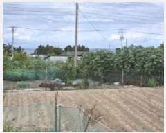  2025Ÿ��4005 ��� ���׽� �ϱ� ������ ���Ѹ� 467-2     ����(��1)���