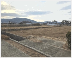  2025Ÿ��199 ��� ���׽� ���� ȣ�̰��� �뺸�� 2-2     ����(��)���