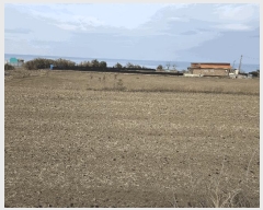  2025Ÿ��199 ��� ���׽� ���� ȣ�̰��� �뺸�� 2-2     ����(��)���