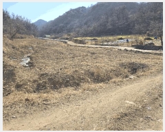  2025Ÿ243  ׽   а 126     (Ӿ)