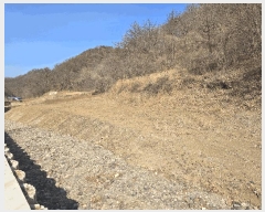  2025Ÿ243  ׽   а 126     (Ӿ)