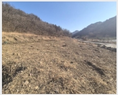  2025Ÿ243  ׽   а 126     (Ӿ)