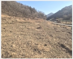  2025Ÿ243  ׽   а 126     (Ӿ)