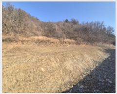  2025Ÿ243  ׽   а 126     (Ӿ)