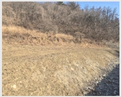  2025Ÿ243  ׽   а 126     (Ӿ)