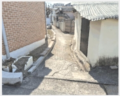  2025Ÿ��255  ���ð��