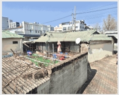  2025Ÿ��255  ���ð��