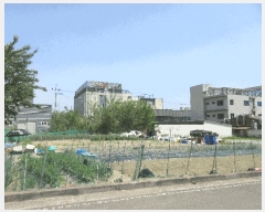  2025Ÿ��265  �������