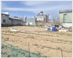  2025Ÿ��265  �������