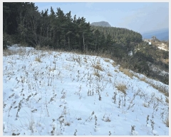  2025Ÿ��270 ��� �︪�� �ϸ� ������ 617-3      ����(�Ӿ�)���