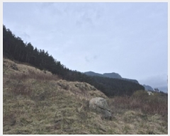  2025Ÿ��270 ��� �︪�� �ϸ� ������ 617-3      ����(�Ӿ�)���