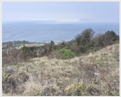  2025Ÿ��270  �����