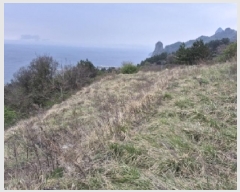  2025Ÿ��270  �����