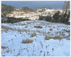  2025Ÿ��270  ���ð��