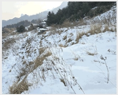  2025Ÿ��270  ���ð��