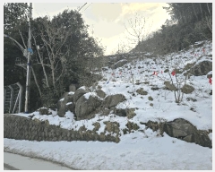  2025Ÿ��270  ���ð��