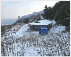  2025Ÿ��270  ���ð��