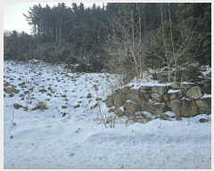  2025Ÿ��270  �����