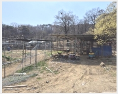  2025Ÿ��285  ����