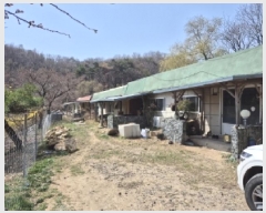  2025Ÿ��285  ����