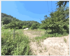  2025Ÿ285  ׽ ϱ ű ȴ 955     ()