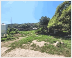  2025Ÿ285  ׽ ϱ ű ȴ 955     ()