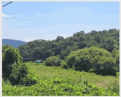  2025Ÿ285  ׽ ϱ ű ȴ 955     ()