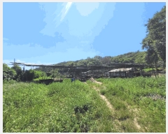  2025Ÿ285  ׽ ϱ ű ȴ 955     ()