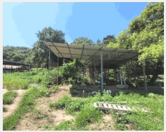  2025Ÿ285  ׽ ϱ ű ȴ 955     ()