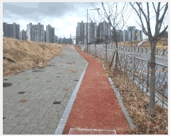  2025Ÿ��290  �������