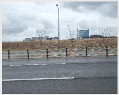  2025Ÿ��290  �������