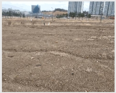  2025Ÿ��290  �������