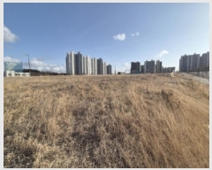  2025Ÿ��290  �������