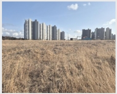  2025Ÿ��290  �������