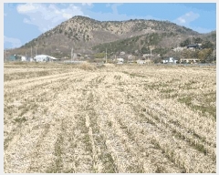  2025Ÿ��316 ��� ���׽� �ϱ� ������ ĥ���� 445-3     ����(��)���