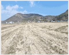  2025Ÿ��316 ��� ���׽� �ϱ� ������ ĥ���� 445-3     ����(��)���