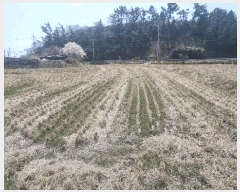  2025Ÿ��316 ��� ���׽� �ϱ� ������ ĥ���� 445-3     ����(��)���