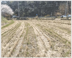  2025Ÿ��316 ��� ���׽� �ϱ� ������ ĥ���� 445-3     ����(��)���